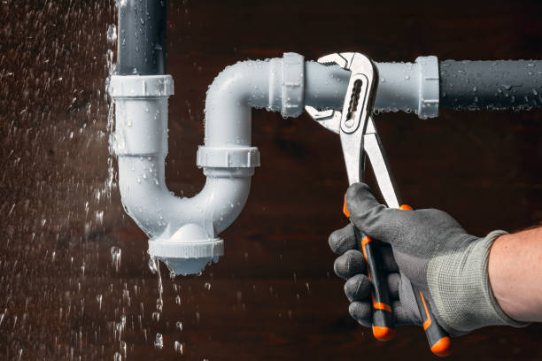 Professional Plumbing technician working in Ava, IL